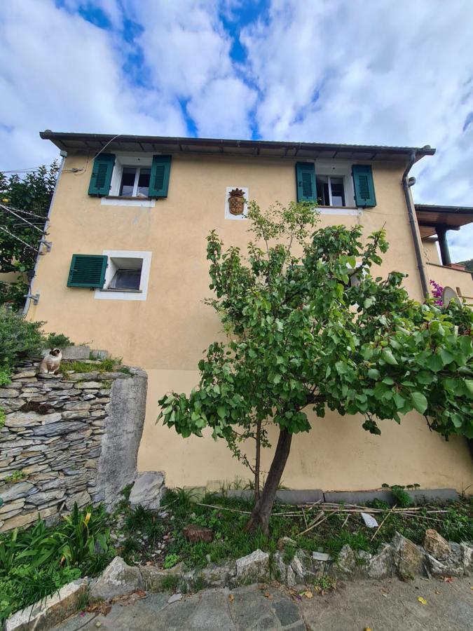 Castrusso Il Frantoio Di Rapallo By Portofinovacanze Extérieur photo