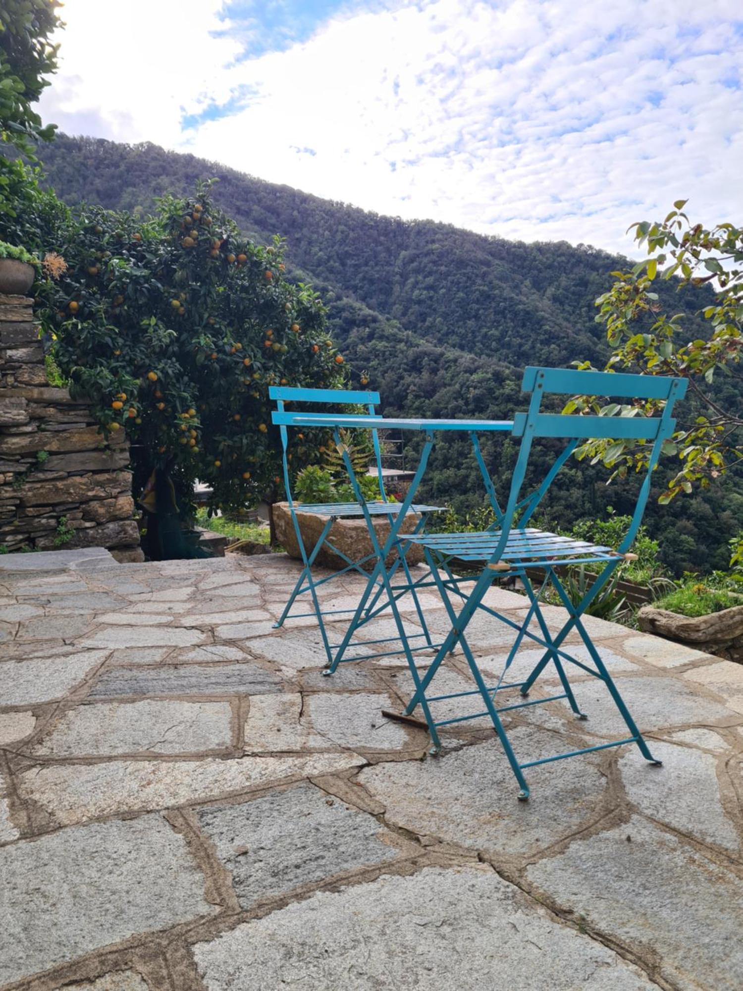Castrusso Il Frantoio Di Rapallo By Portofinovacanze Extérieur photo