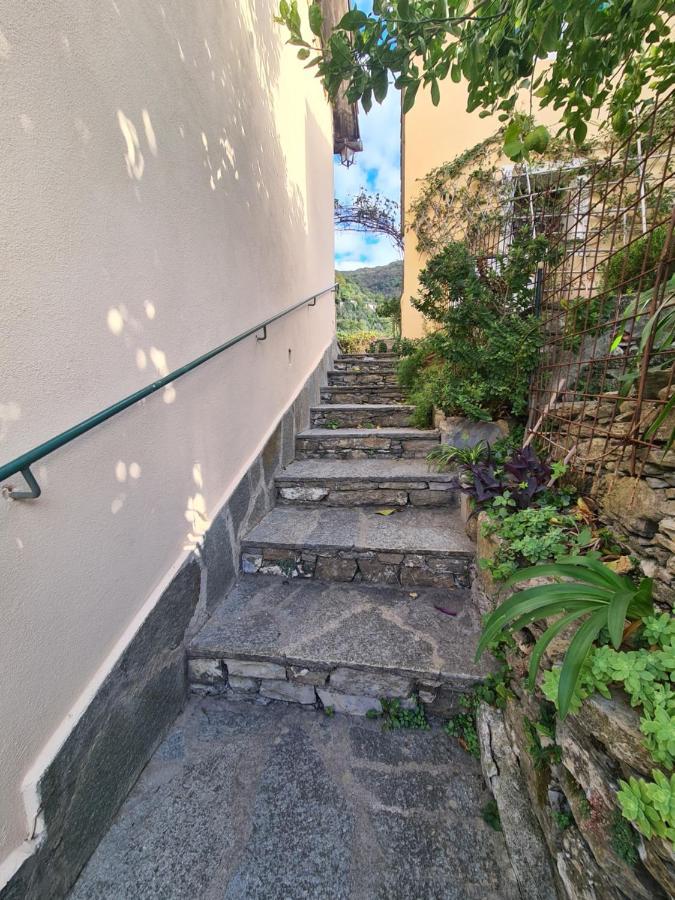 Castrusso Il Frantoio Di Rapallo By Portofinovacanze Extérieur photo
